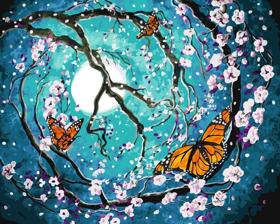 Malování podle čísel - Půlnoční motýli