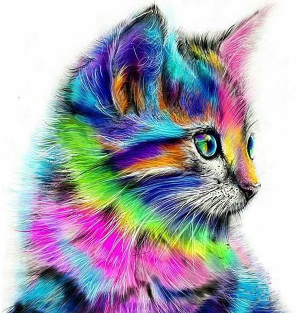 Amparo Miranda® Diamantový obrázek Barevné kotě