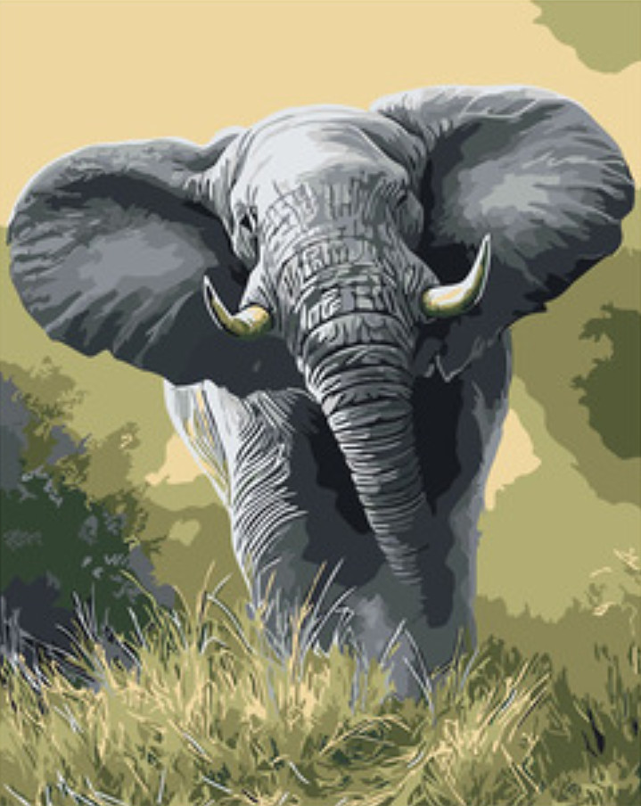 Amparo Miranda® Malování podle čísel Africký slon