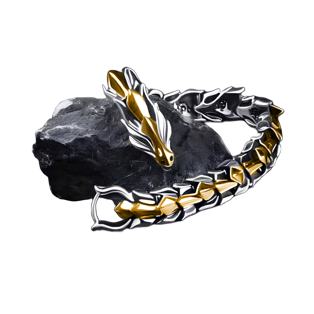 Amparo Miranda® Náramek Dragon Silver-gold, Délka náramku 19 cm